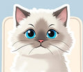 Kitten Reservation Deposit – $200